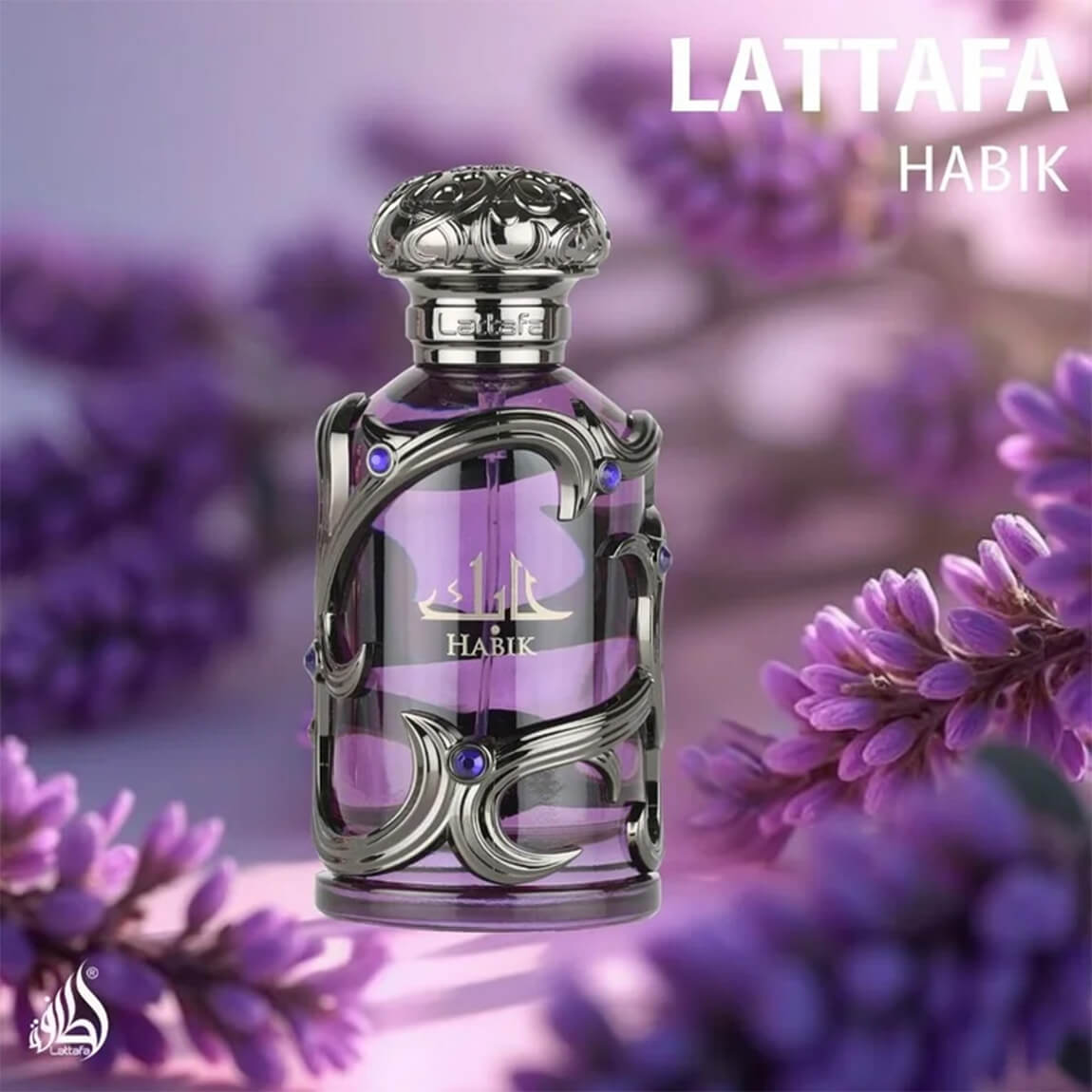 Lattafa Habik, Men’s Fragrance